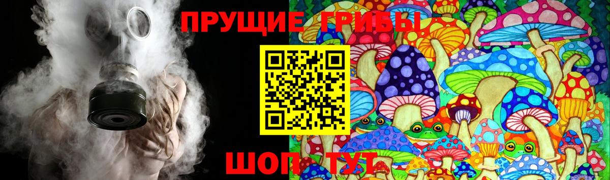 Галлюциногенные грибы Psilocybine cubensis  Псилоцибиновые грибы прущие грибы  Вход с VPN  Чита 